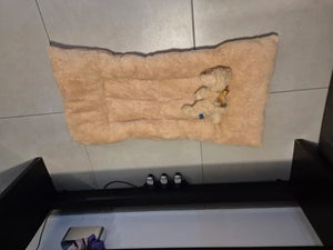 Aff59cc32563d430d9f0e76adf3ee4007O.jpg