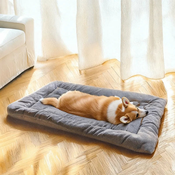 PawBuddy™ Luxury Dog Bed — Ultra Soft Plush & Machine Washable