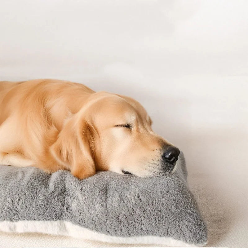 PawBuddy™ Luxury Dog Bed — Ultra Soft Plush & Machine Washable