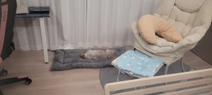 Sac5d007b1bd344369385eb5ab67d709ec.jpg